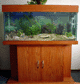 peces